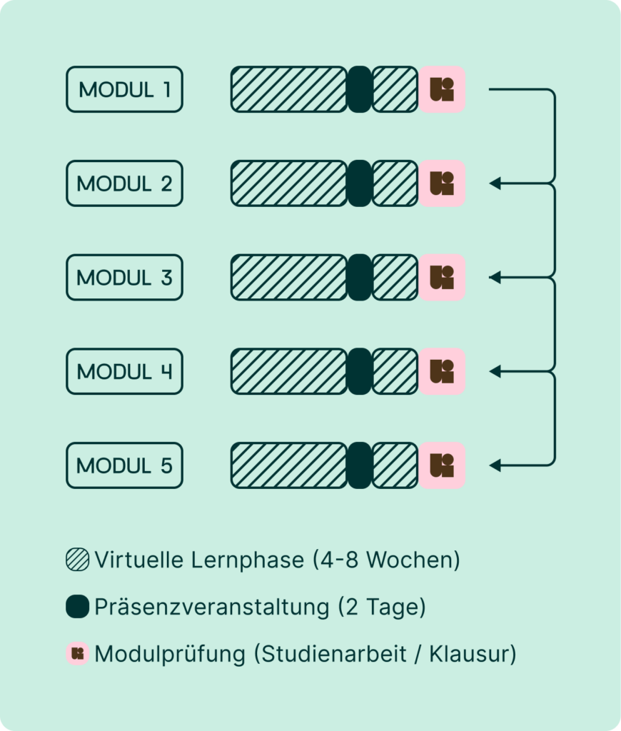Grafische Darstellung des Studienkonzepts der DBU University mit fünf Modulen: virtuelle Lernphasen über 4–8 Wochen, zweitägige Präsenzveranstaltungen und abschließende Modulprüfungen.